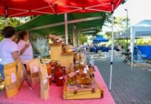 Feiras mudam de endereço por obras do Trem Intercidades