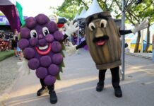 Festa da Uva e Festa do Vinho começam dia 6 de março com 11 dias de programação cultural