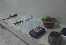 GCM de Vinhedo apreende drogas após denúncia de tráfico