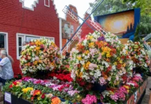 Expoflora 2026 começa nesta sexta-feira e espera receber 280 mil visitantes em Holambra